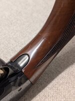 PXL_20260320_160248043.jpg PXL_20260320_160248043.jpg