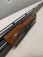 PXL_20260320_160120823.jpg PXL_20260320_160120823.jpg