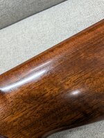 PXL_20260320_160437527.jpg PXL_20260320_160437527.jpg