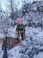 IMG_20251128_074258896~2.jpg IMG_20251128_074258896~2.jpg