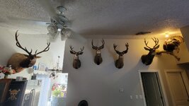 20250221_163151.jpg