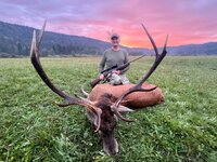 IMG_8512.jpeg IMG_8512.jpeg