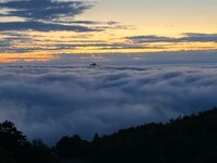 IMG_8620.jpeg IMG_8620.jpeg