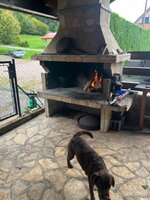 IMG_8565.jpeg IMG_8565.jpeg