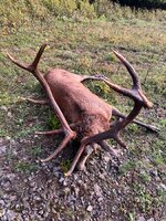 IMG_8635.jpeg IMG_8635.jpeg