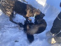 IMG_5451.jpeg IMG_5451.jpeg