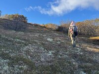 IMG_6467.jpeg IMG_6467.jpeg