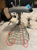 IMG_7919.JPG IMG_7919.JPG