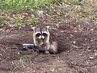 IMG_9201.jpeg IMG_9201.jpeg