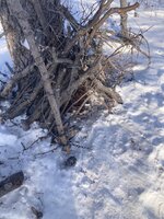 IMG_5467.jpeg IMG_5467.jpeg