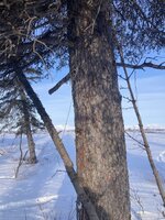 IMG_5466.jpeg IMG_5466.jpeg