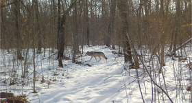 Screenshot 2026-03-23 143727.png