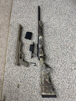 IMG_5381.jpeg IMG_5381.jpeg