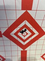 Seekins 300 Win Mag 100 yards.jpeg