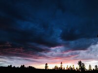 IMG_2864.jpeg