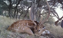 FB_IMG_1774400234394.jpg FB_IMG_1774400234394.jpg