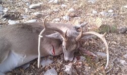 FB_IMG_1774400217503.jpg FB_IMG_1774400217503.jpg