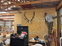 IMG_1091.jpeg IMG_1091.jpeg