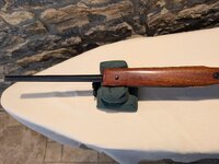 Sako Lower Forearm.jpg