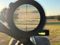 IMG_8569.jpeg