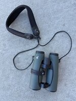 IMG_8333.jpeg