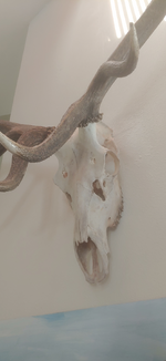 Screenshot_20260328-054704.png Screenshot_20260328-054704.png