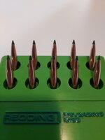 20260328_110800.jpg 20260328_110800.jpg