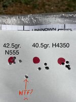 IMG_6789.jpeg IMG_6789.jpeg