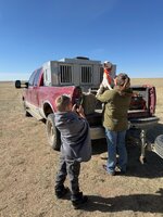 IMG_3515.jpg IMG_3515.jpg