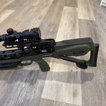 IMG_3262 Medium.jpeg