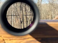 IMG_1204.jpeg IMG_1204.jpeg