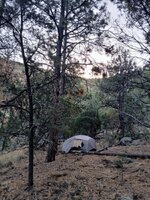 Last Camp, 50's .jpg