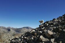 2016-09-21 05.42.51 1 Copy.jpeg