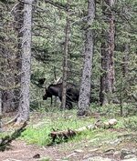 PXL_20220728_233306426_Original Copy.jpeg