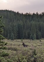 PXL_20220730_015213602 Copy.jpeg