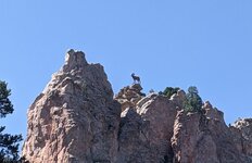 PXL_20210905_204110281 Copy.jpeg