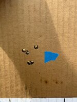 IMG_9546.jpeg IMG_9546.jpeg