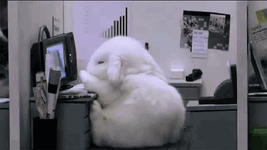 1_xTV_l3RAEocW6zzp7OWspg.gif
