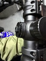 IMG_8233.jpeg IMG_8233.jpeg