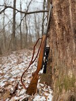 IMG_8551.jpeg IMG_8551.jpeg