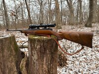 IMG_8549.jpeg IMG_8549.jpeg