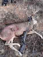 IMG_6960.jpeg IMG_6960.jpeg