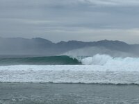 IMG_2312.jpeg IMG_2312.jpeg