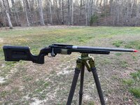 IMG_2251.jpeg