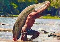 IMG_5976.jpeg IMG_5976.jpeg