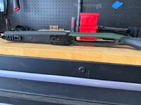 IMG_2431.jpeg