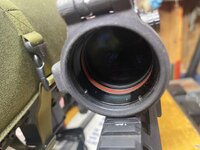 IMG_2411.jpeg