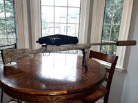 IMG_8742.jpeg