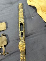 IMG_5295.jpeg
