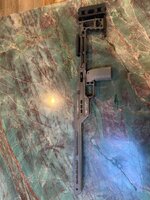IMG_8105.jpeg